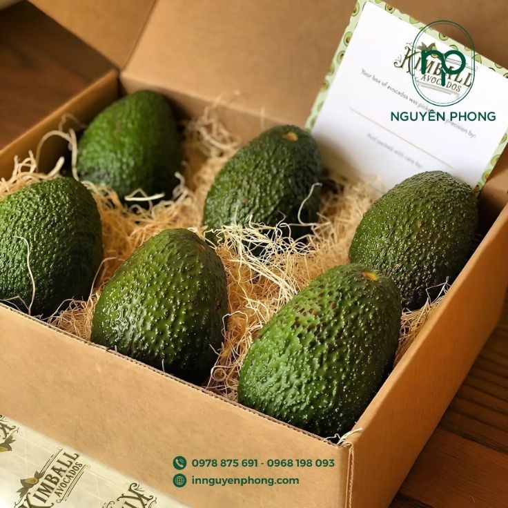 Mẫu hộp carton sóng dạng nắp cài làm quà tặng